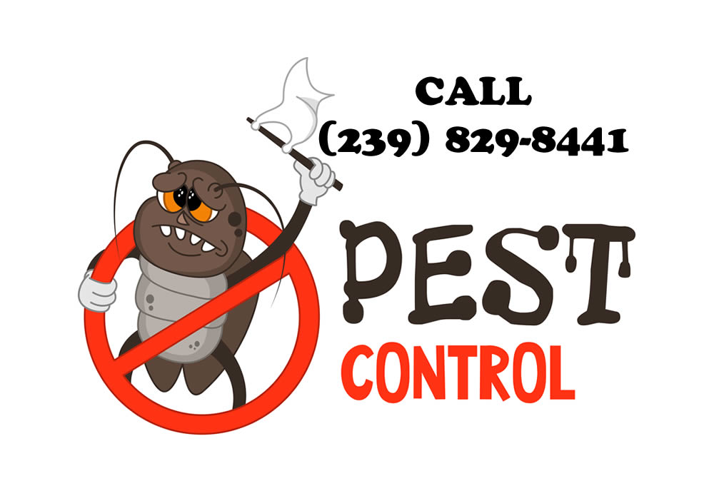 Pest Control Pest Control