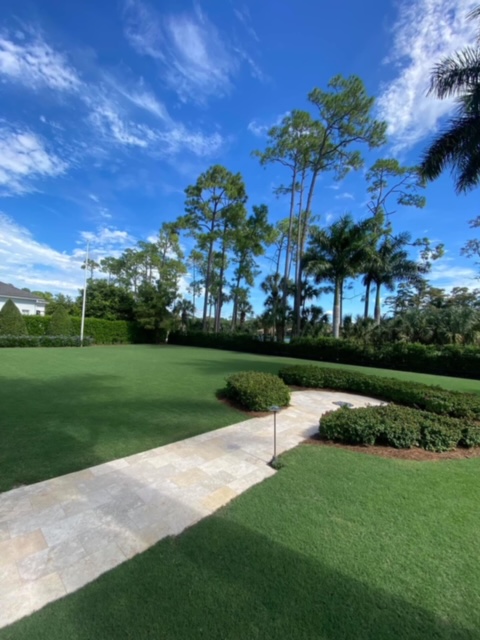 Lawn treatment