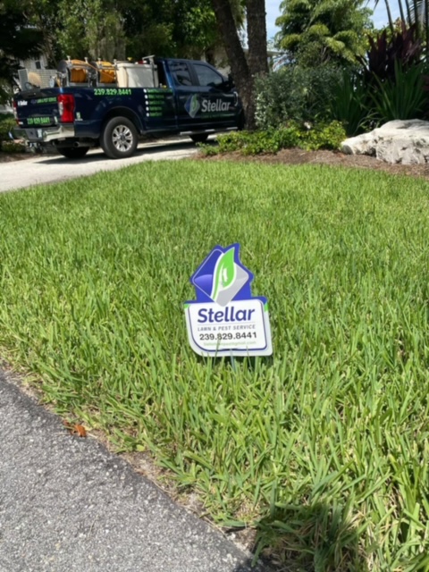 Lawn fertilizer with weed control