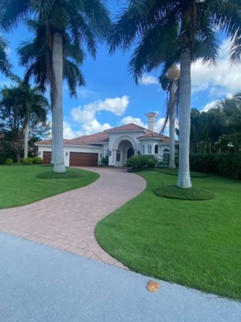Beautiful lawn Yard service