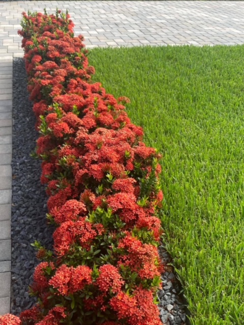 Landscaping services