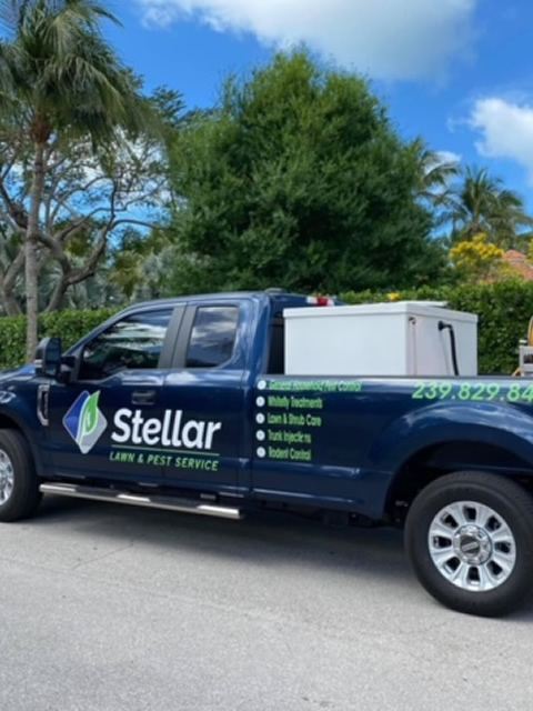 Stellar Pest Control